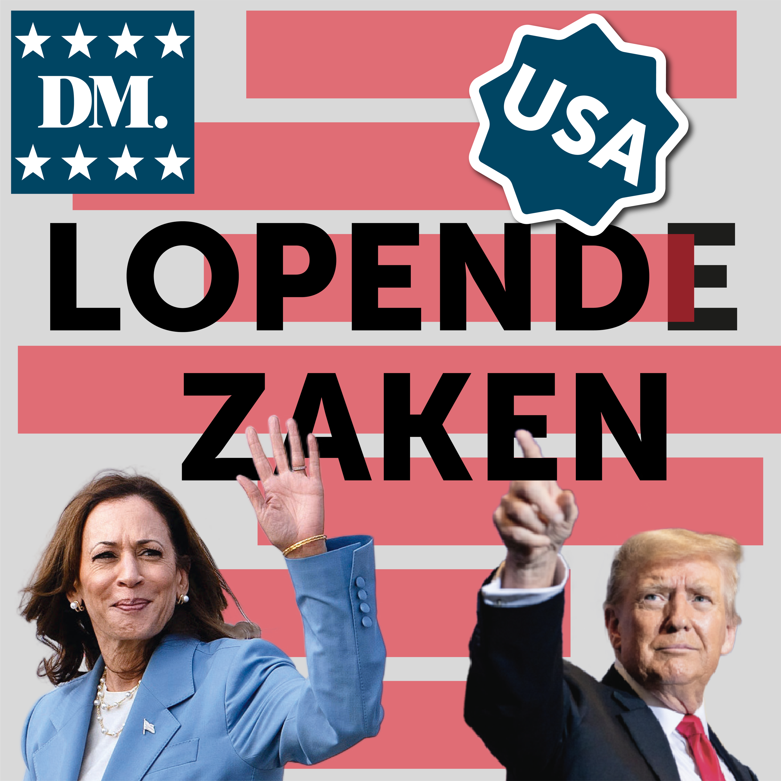 Het is maar politiek