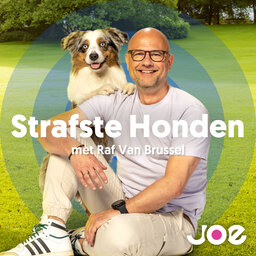 Strafste Honden met Asielhond Lizzy en Michel Vandenbosch