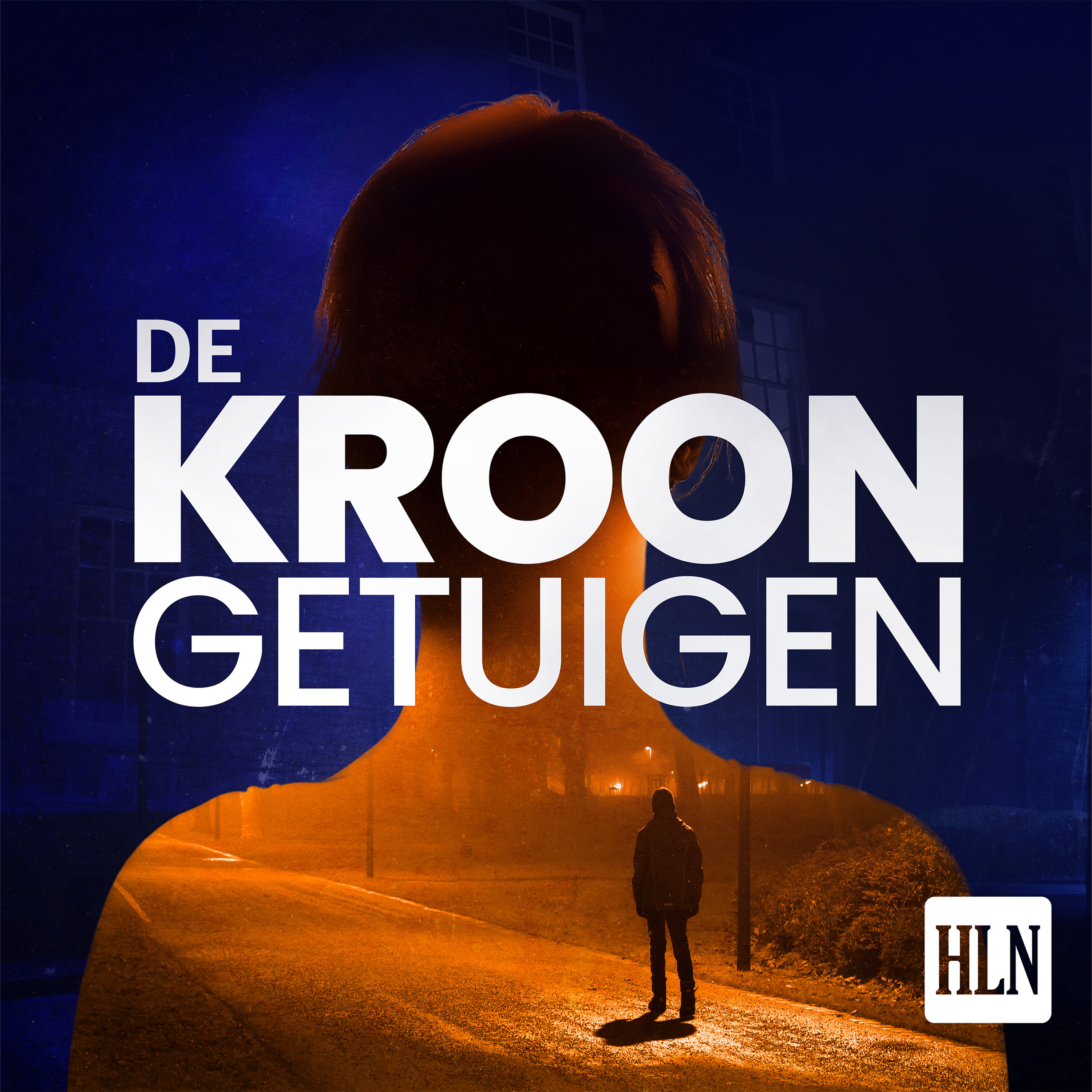 De Kroongetuigen: Moord door een Parlementariër