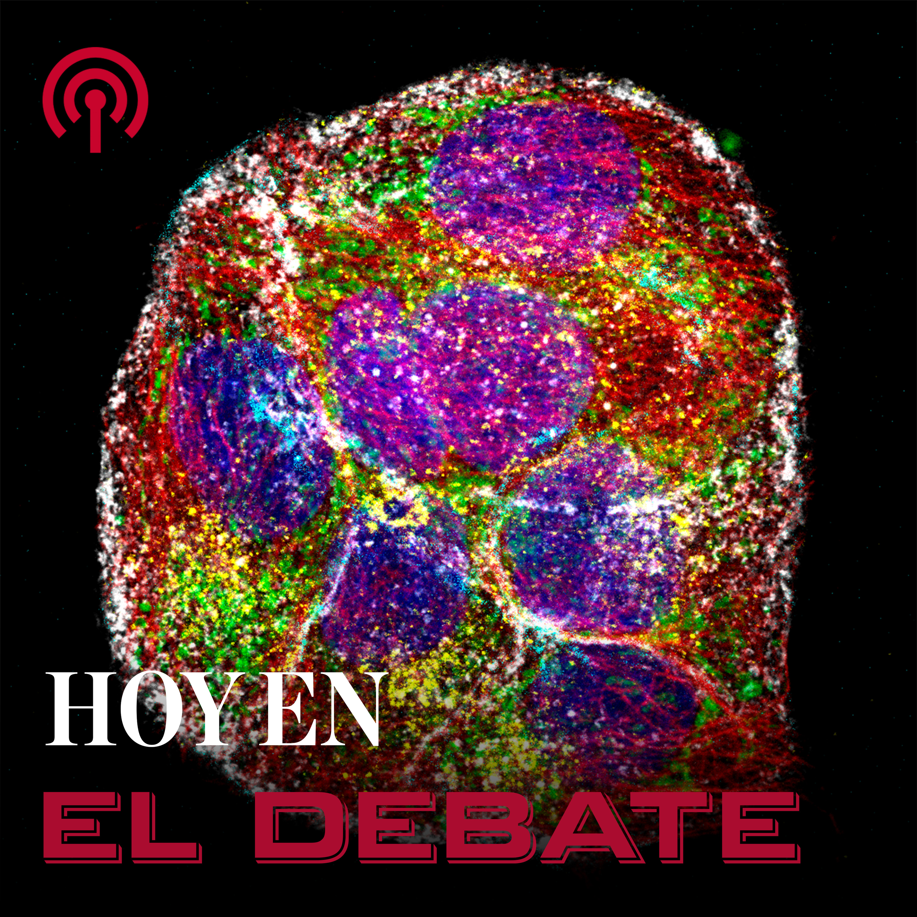 La cura del cáncer se juega en un microscopio capaz de fotografiar las células en 3D