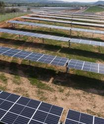 Plantas fotovoltaicas: ¿Independencia energética o un riesgo para los ecosistemas y la agricultura?