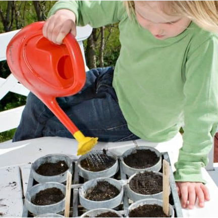 The Revival Fellowship NSW & ACT