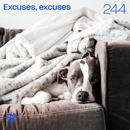 Excuses, excuses - Pr Rob Sinclair - 244