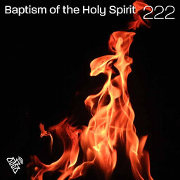 The baptism of the Holy Spirit - Pr Paul Nobel - 222