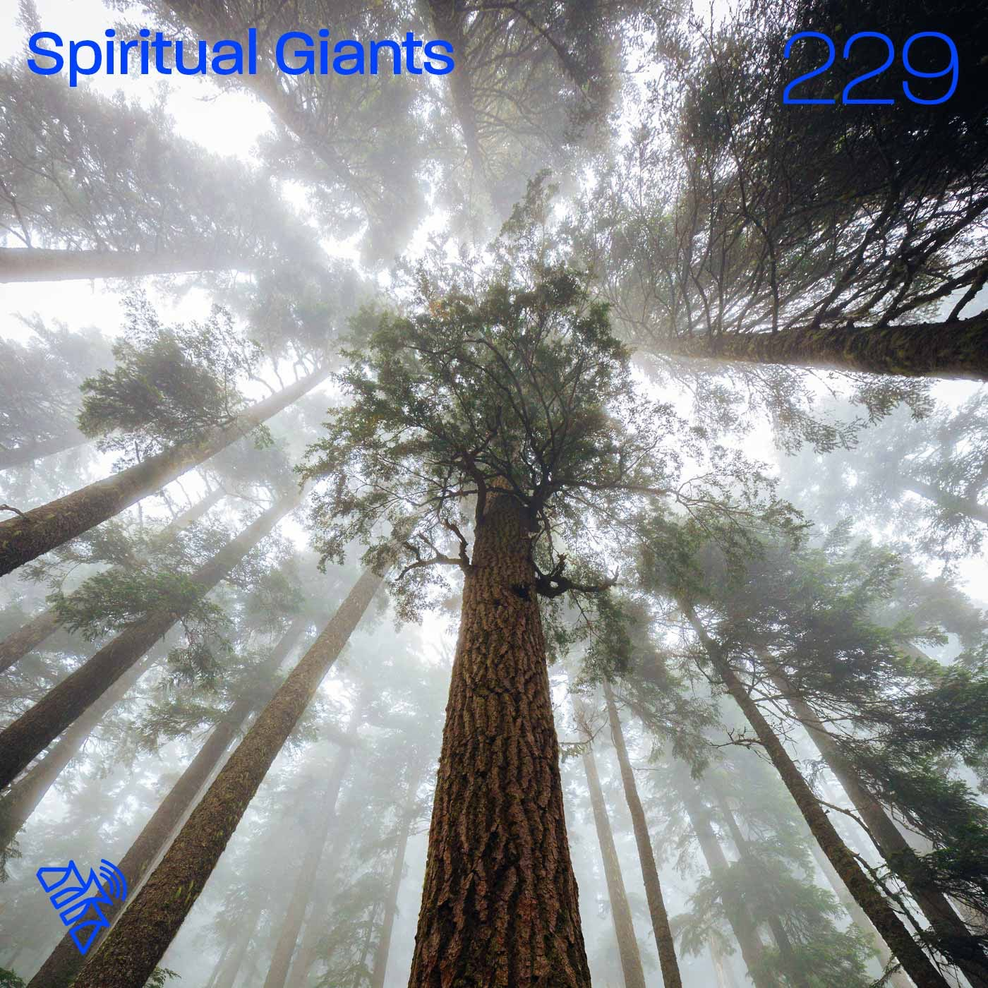 Spiritual Giants - Pr Chris Jose - 229