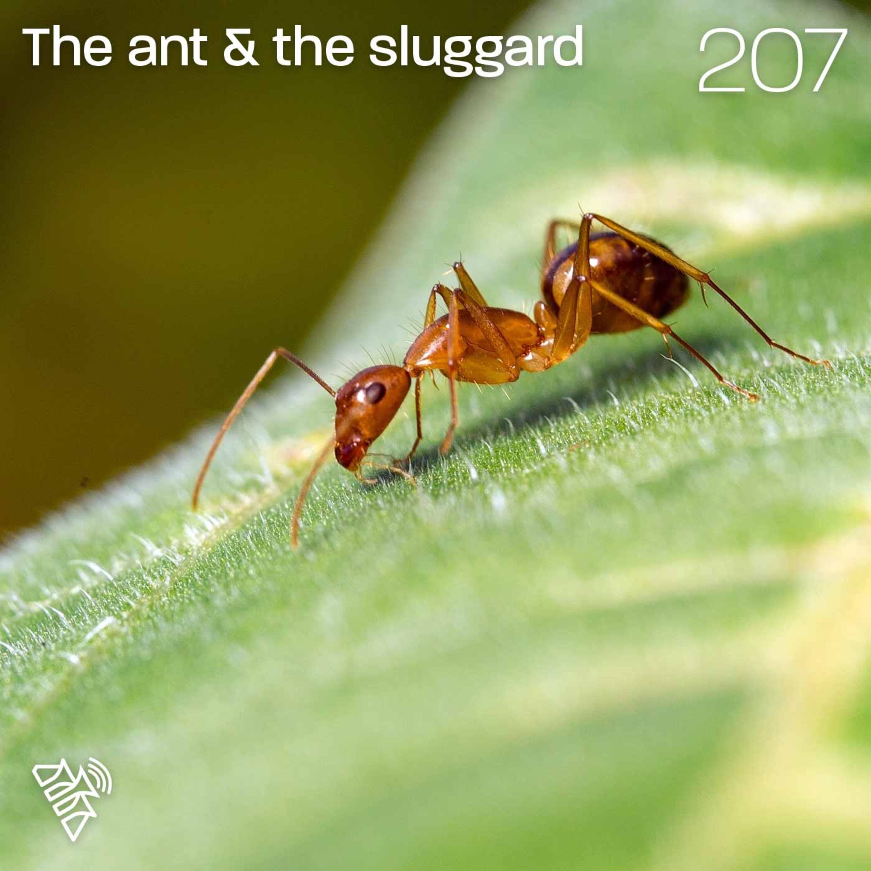 The Ant & the Sluggard - Dave Hawkswood - 207