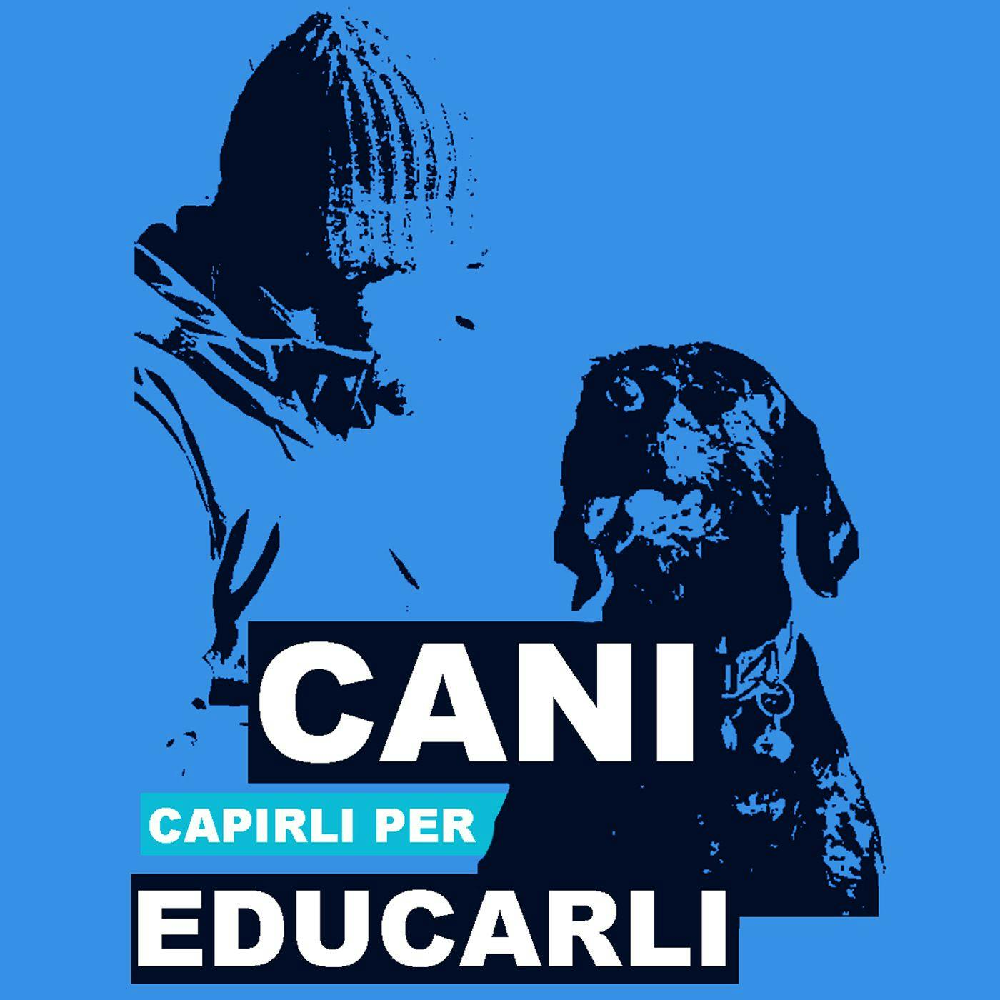 Cani, capirli per educarli