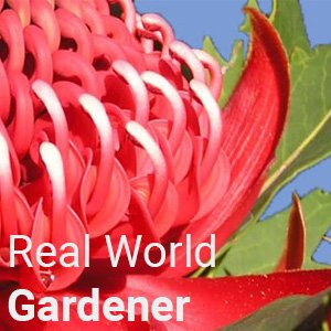 Real World Gardener - 16 September 2026