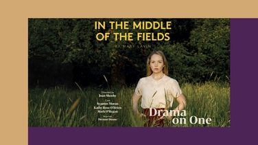 In The Middle of The Fields by Mary Lavin