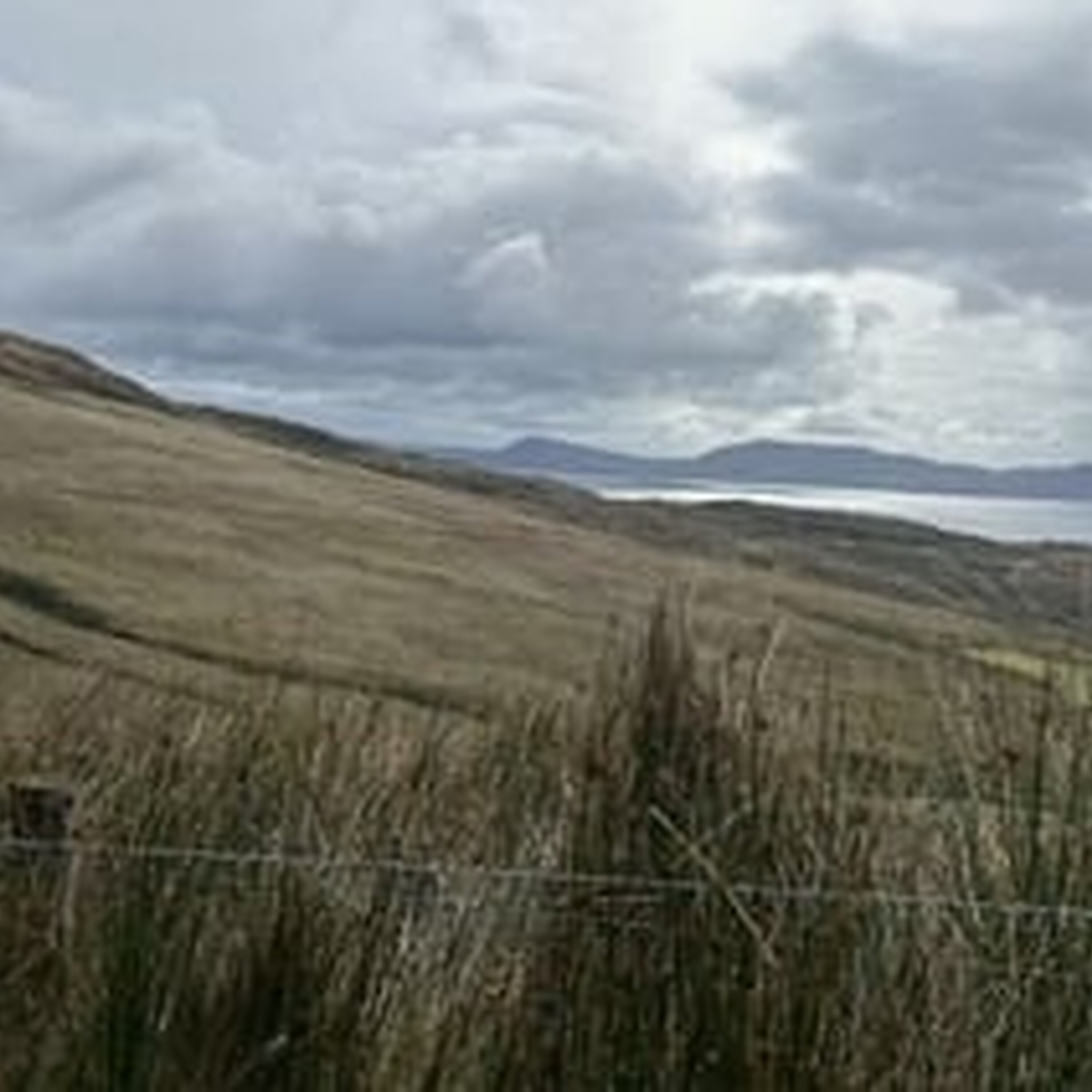 Why is Ireland home to so many bogs?