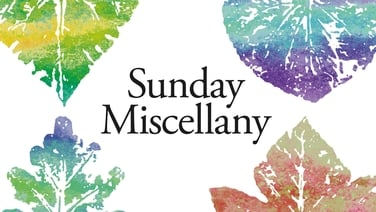 T'will Shorten the Winter, by Margaret Galvin