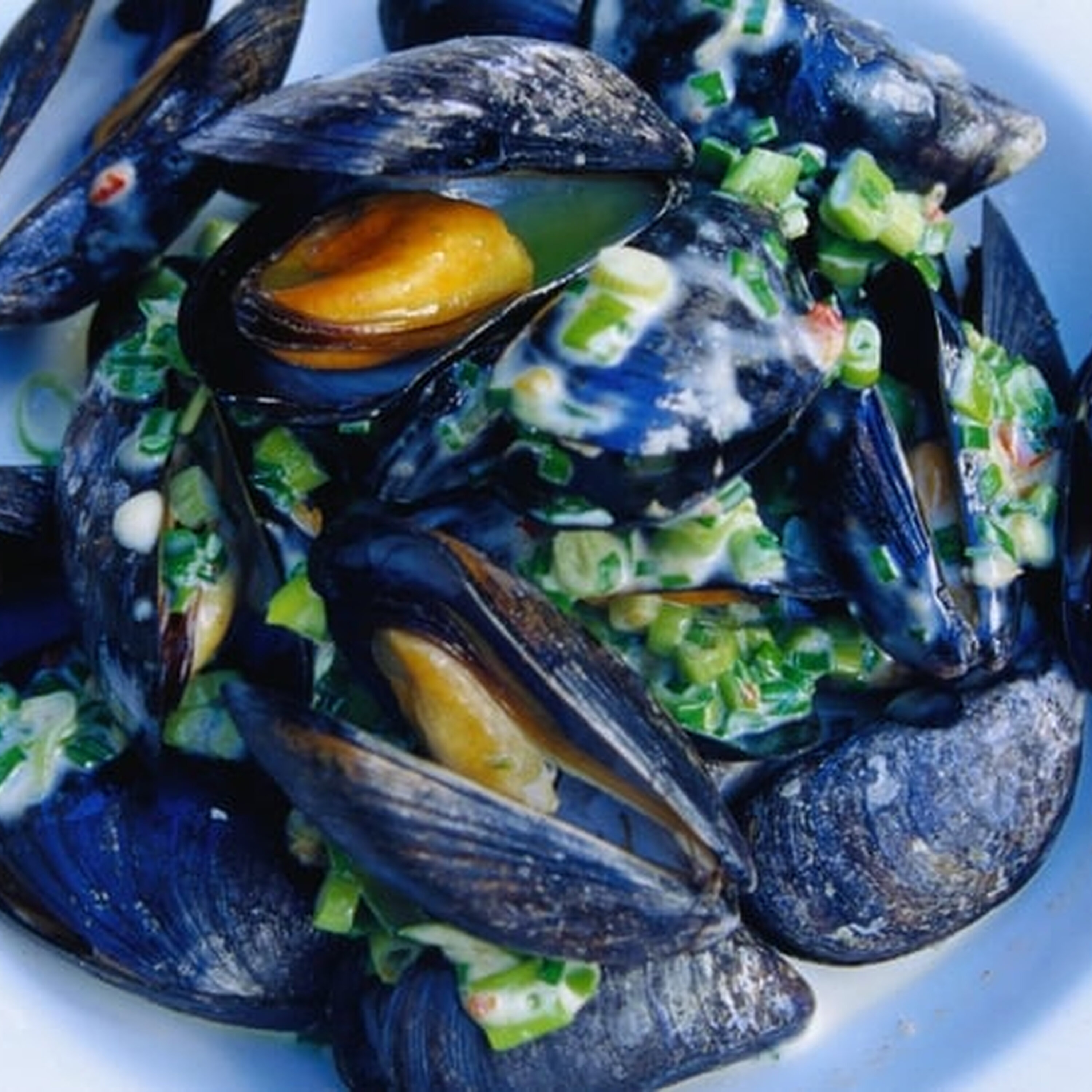 Shellfish masterclass: “Irish people always think seafood will kill us. But it's very safe now”