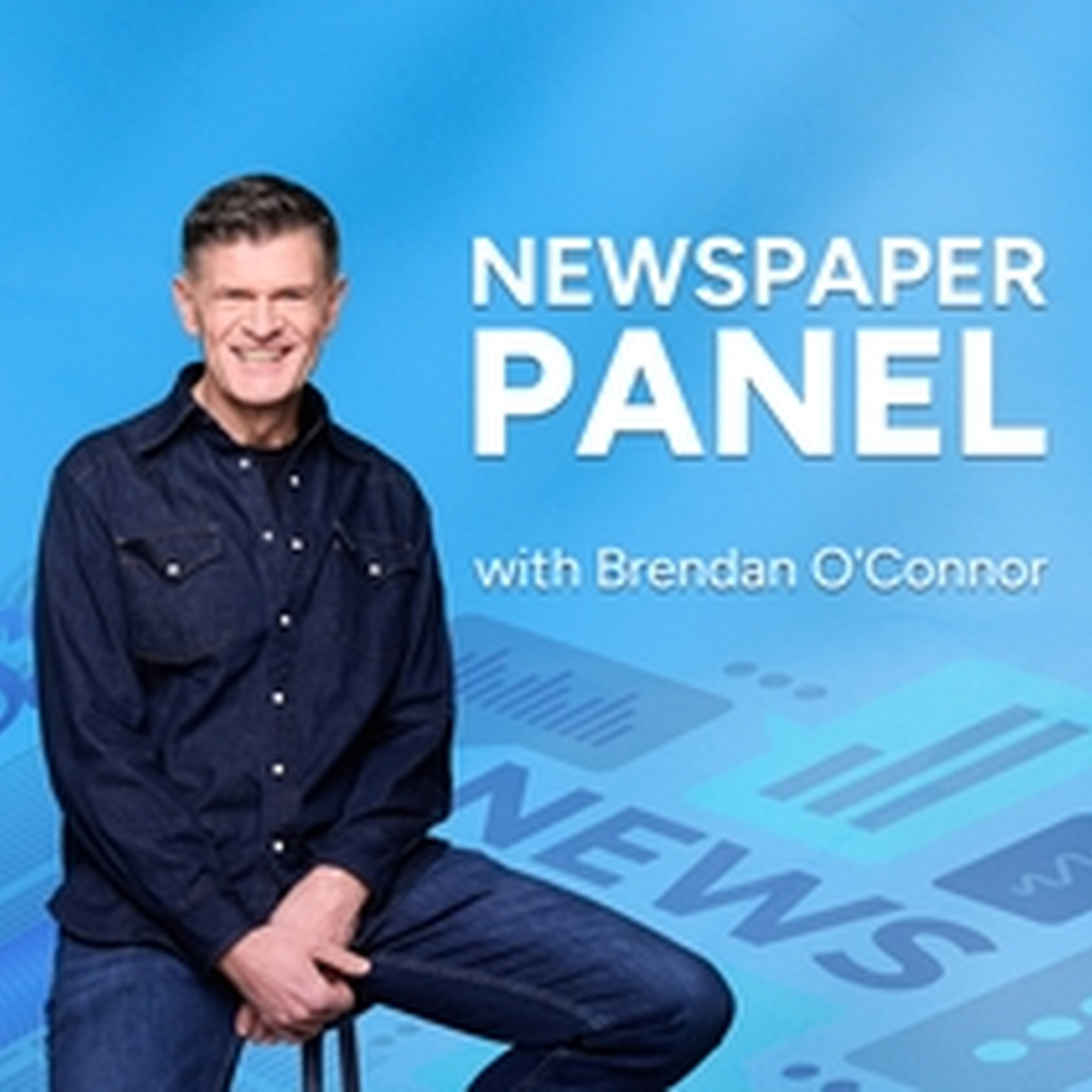 The Newspaper Panel