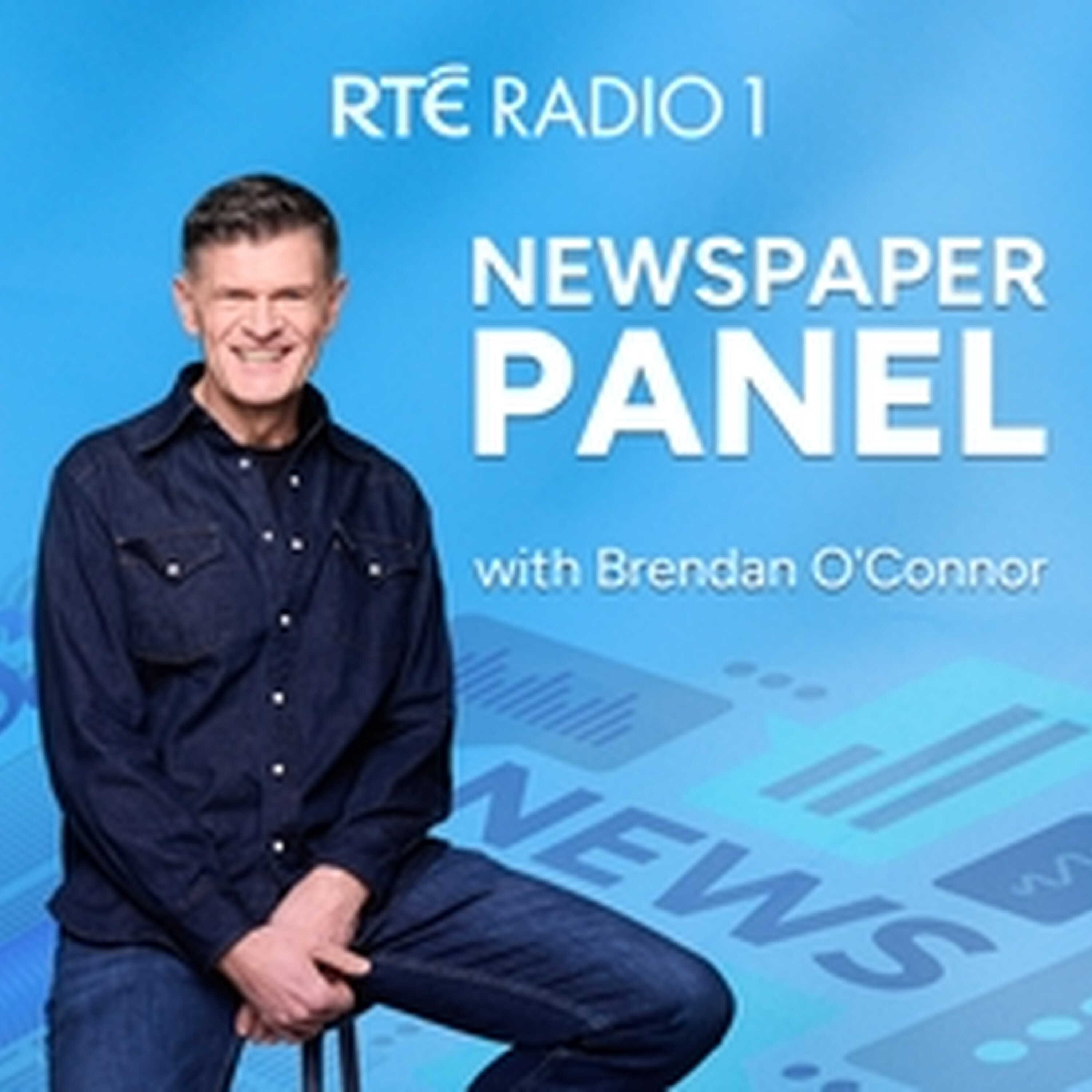 Newspaper Panel