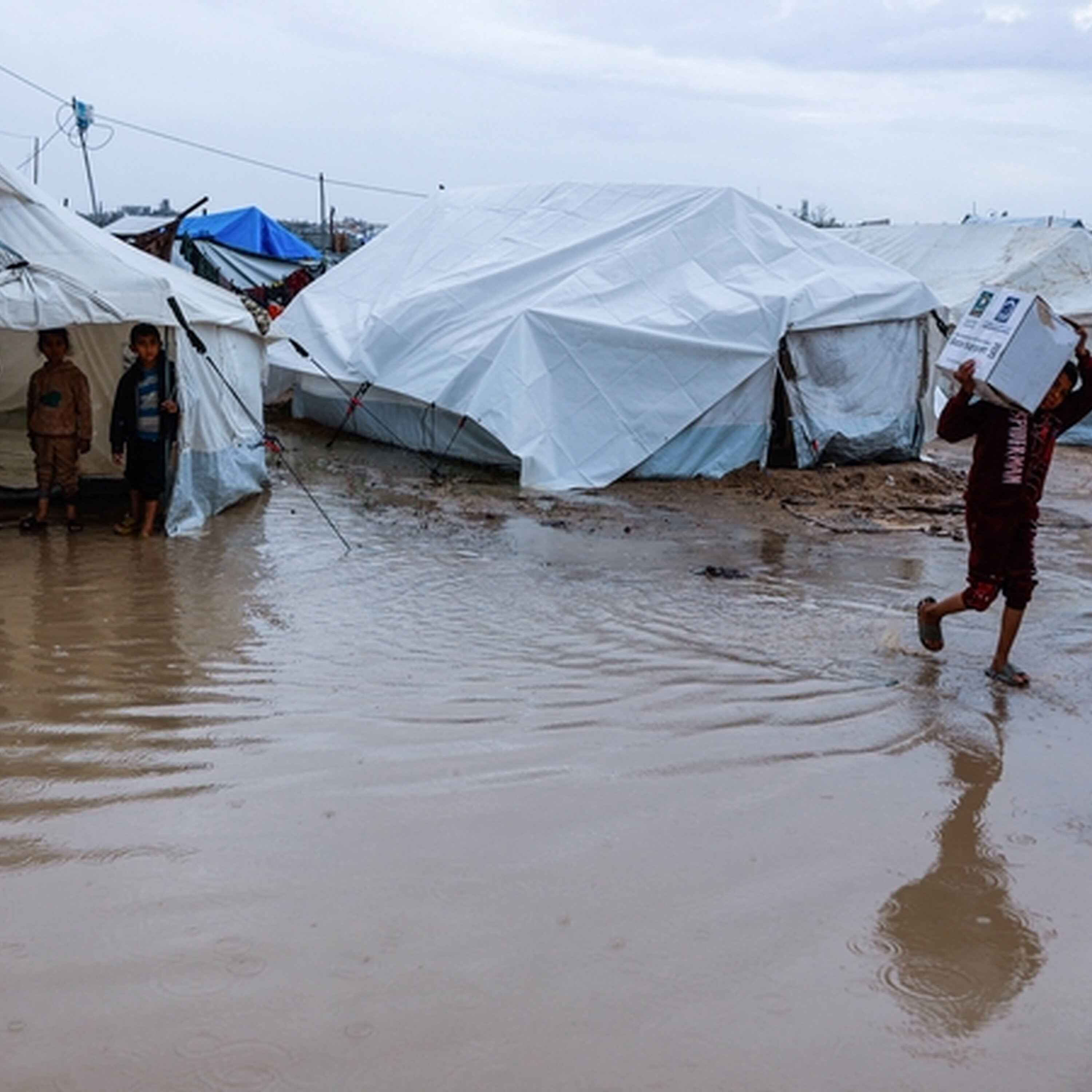 Bertie Ó hAinmhire : Gníomhaí ar son na Palaistíne. Bertie Ó hAinmhire : Gníomhaí ar son na Palaistíne.