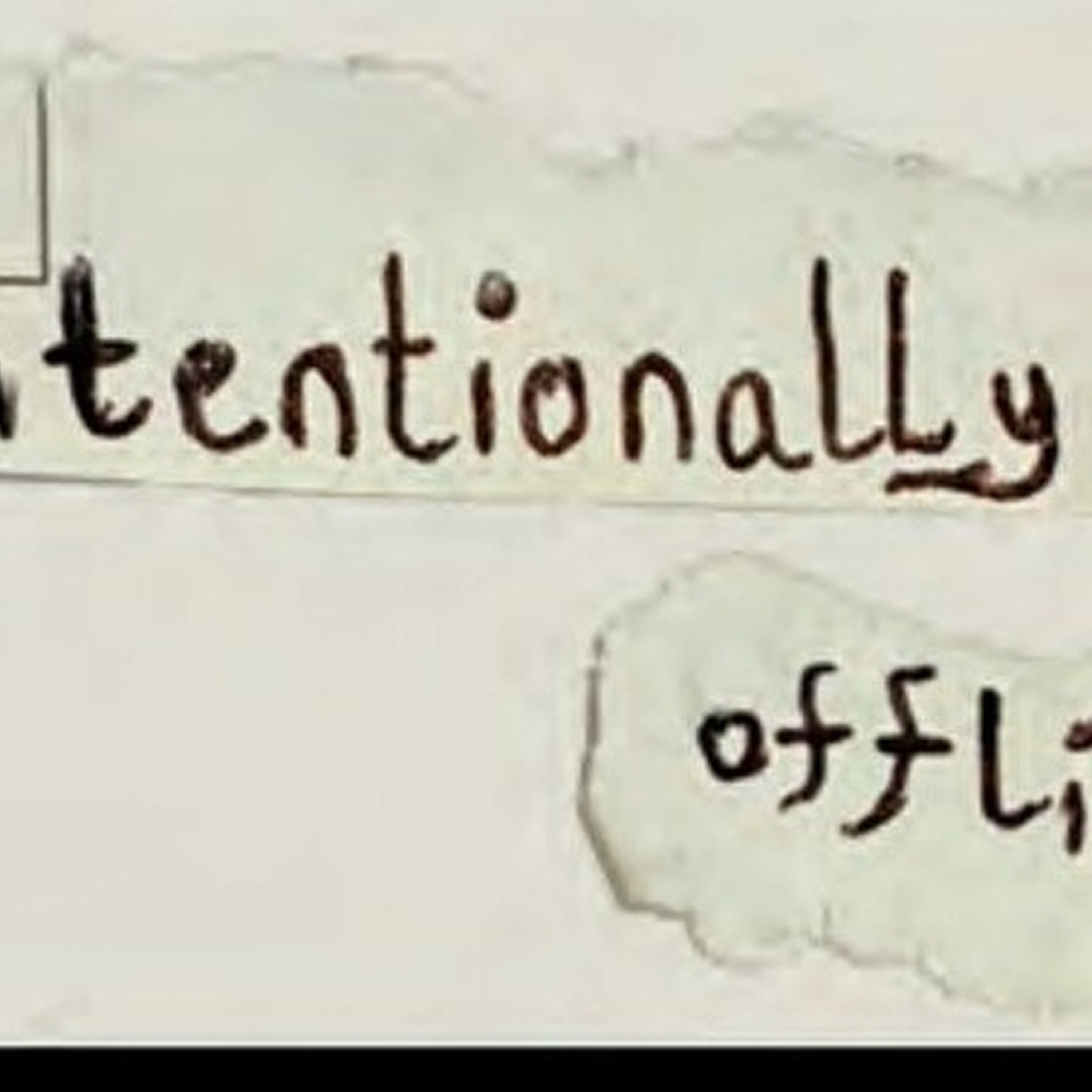 Intentionally Offline - Niamh Bagnell