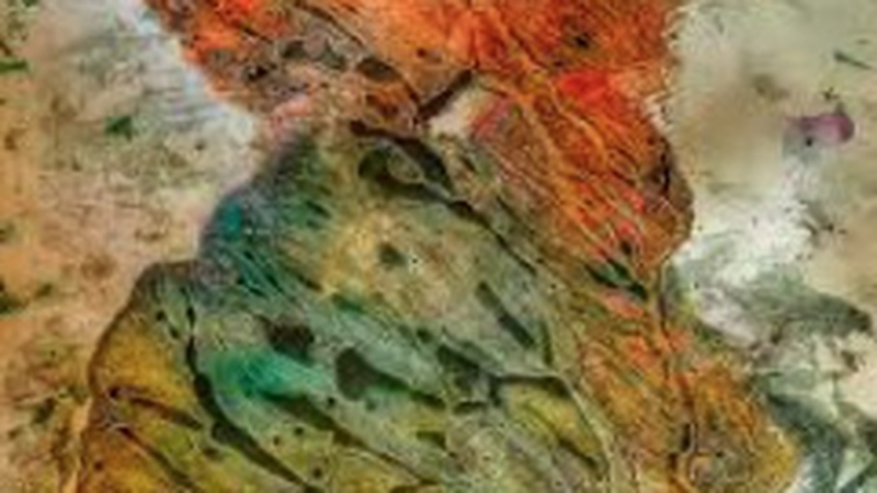 Art in Focus: Energy Made Visible