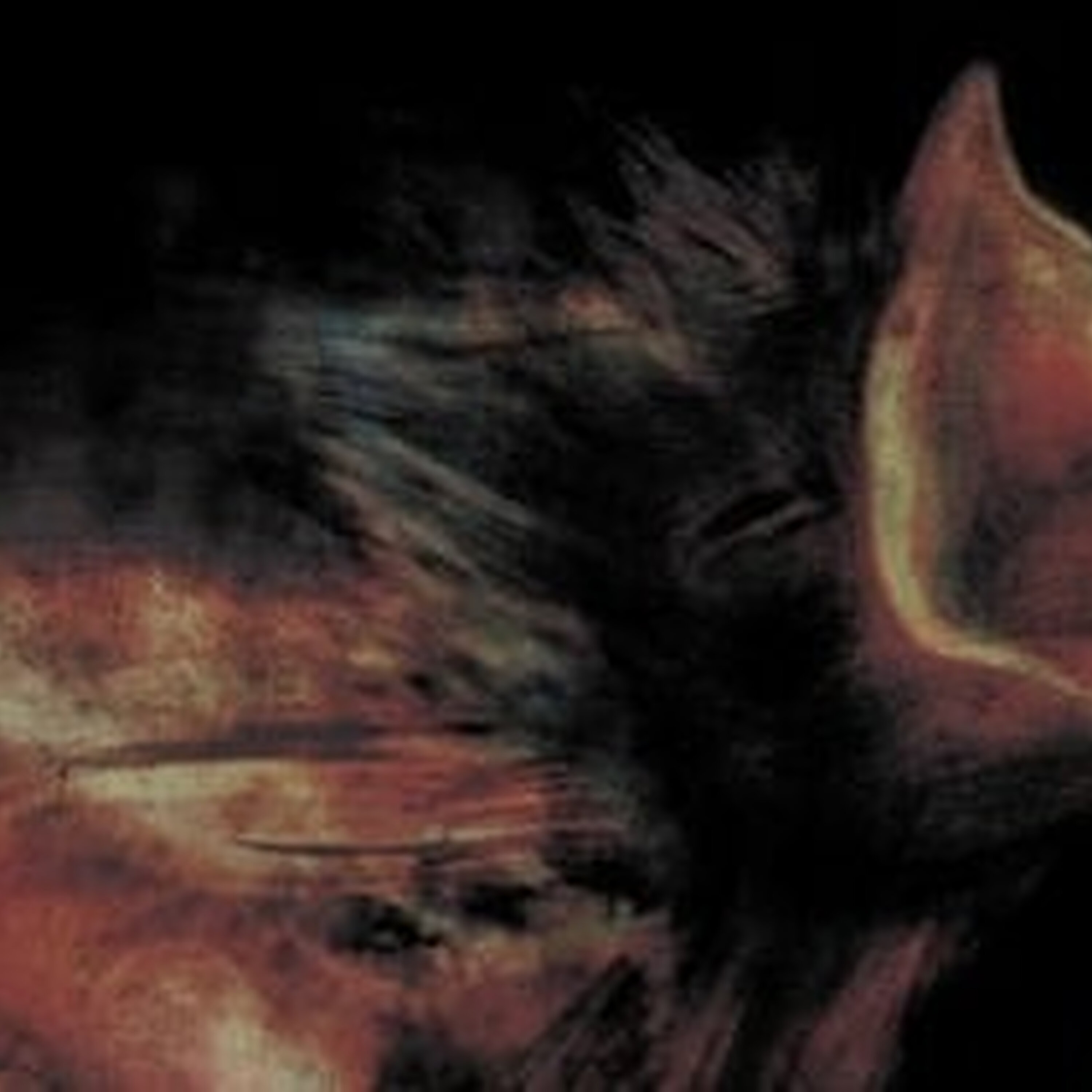 Album reviews