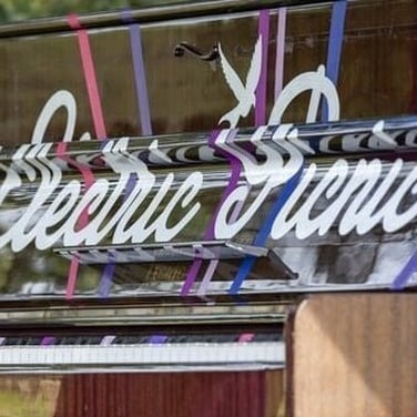 Sarah King - Electric Picnic episode artwork