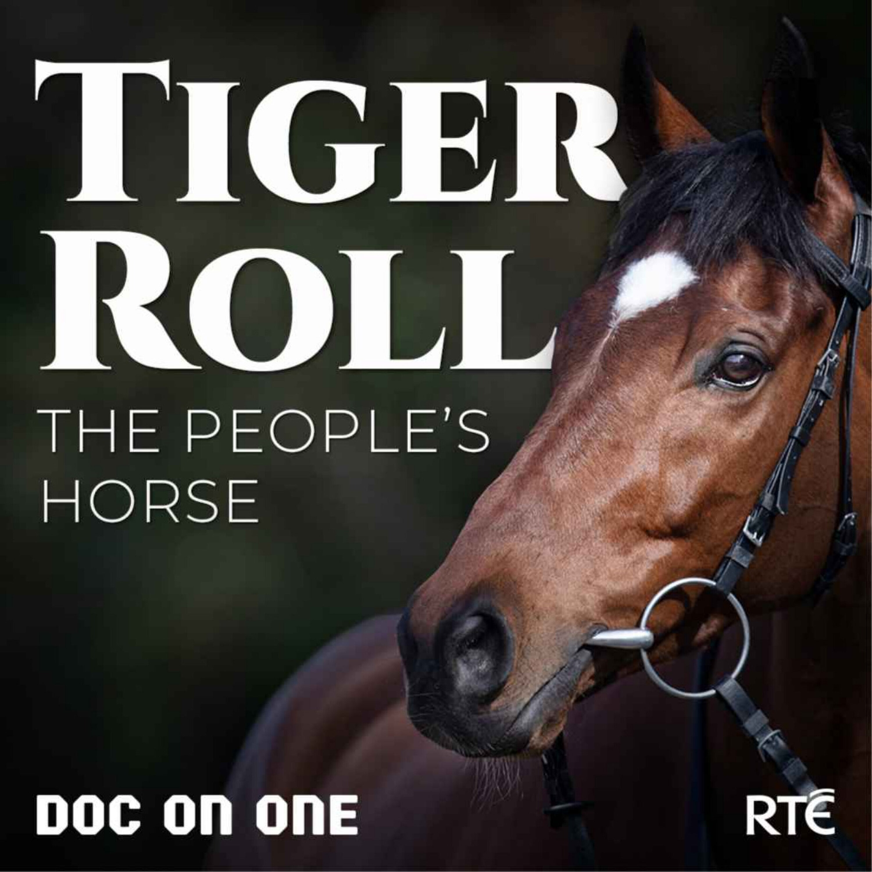 Tiger Roll, The People's Horse. Episode 1: A Star Is Born episode artwork