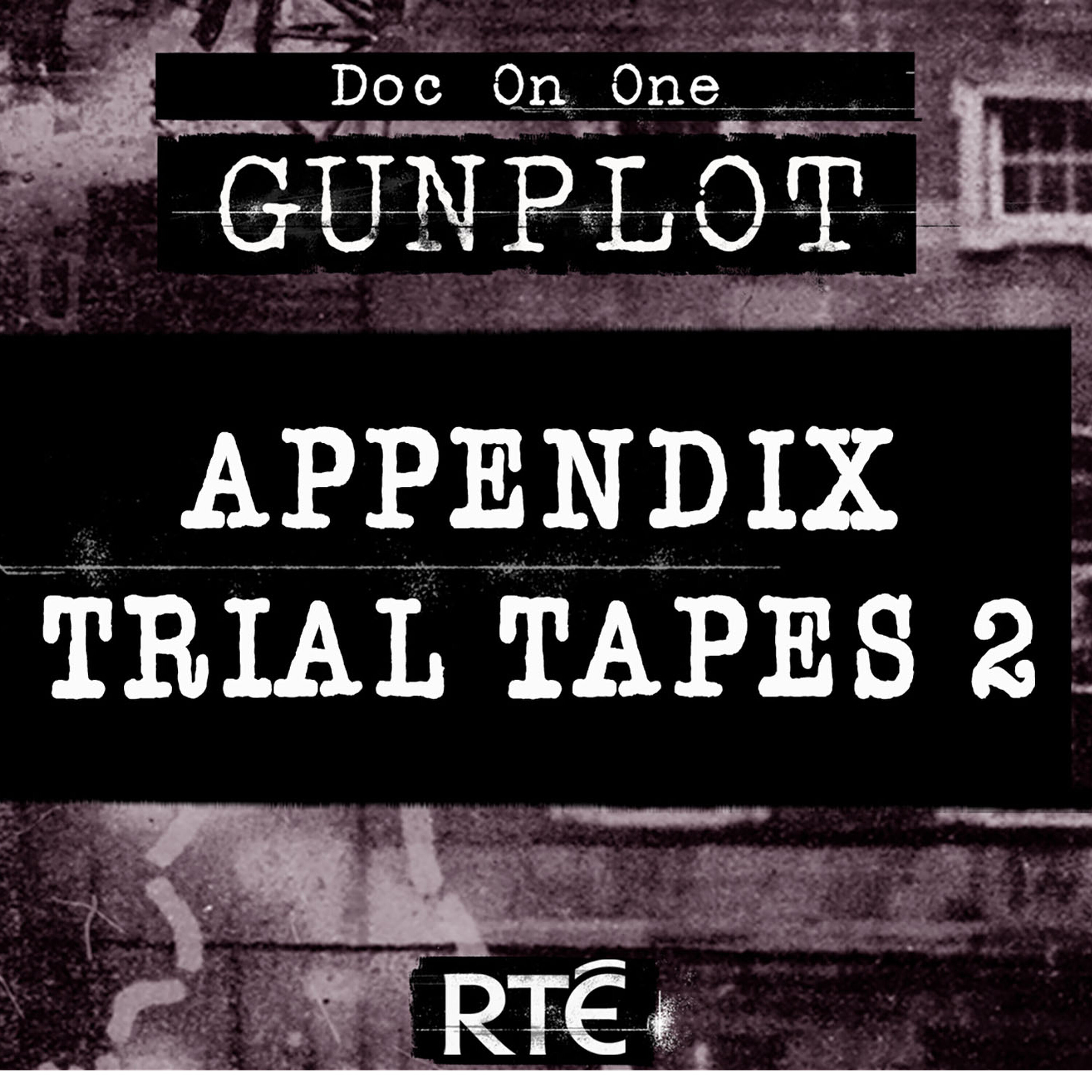 Bonus: Appendix Trial Tapes 2 episode artwork