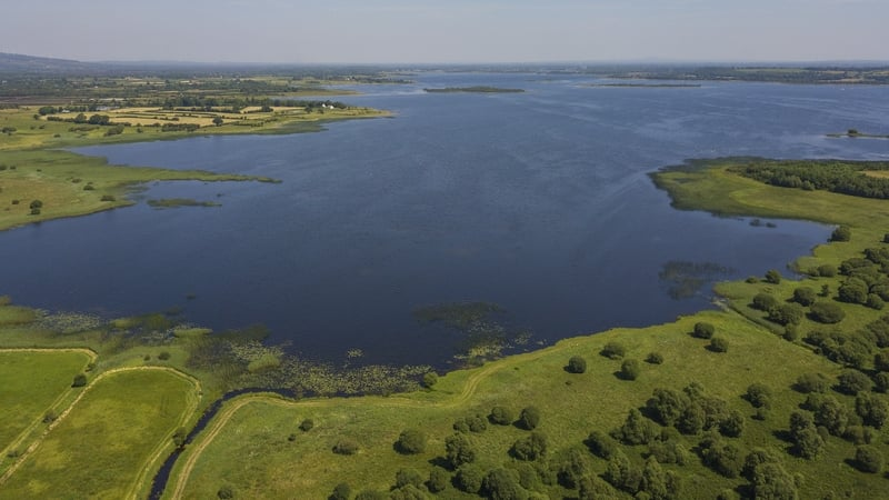 The Longford Island farmer