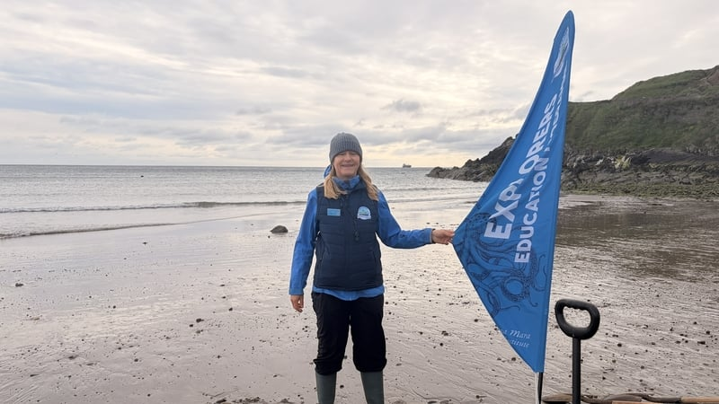 Seashore Kids: Getting children involved in marine protection