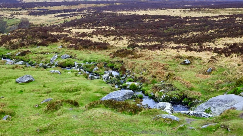 Peat Alternatives
