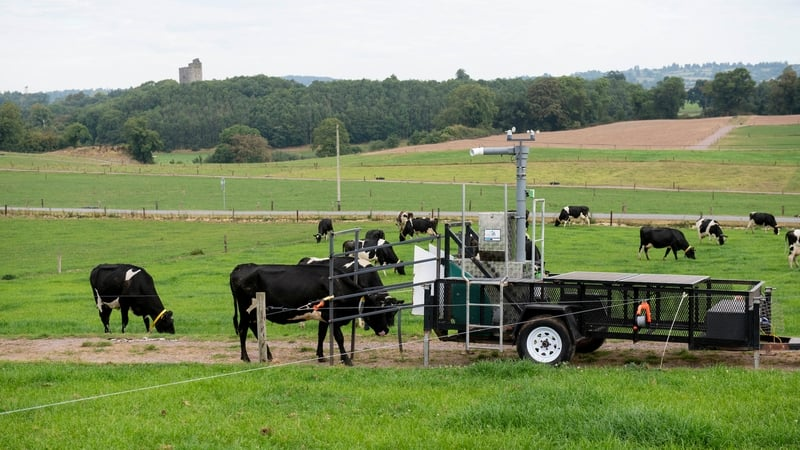 Nitrate leaching