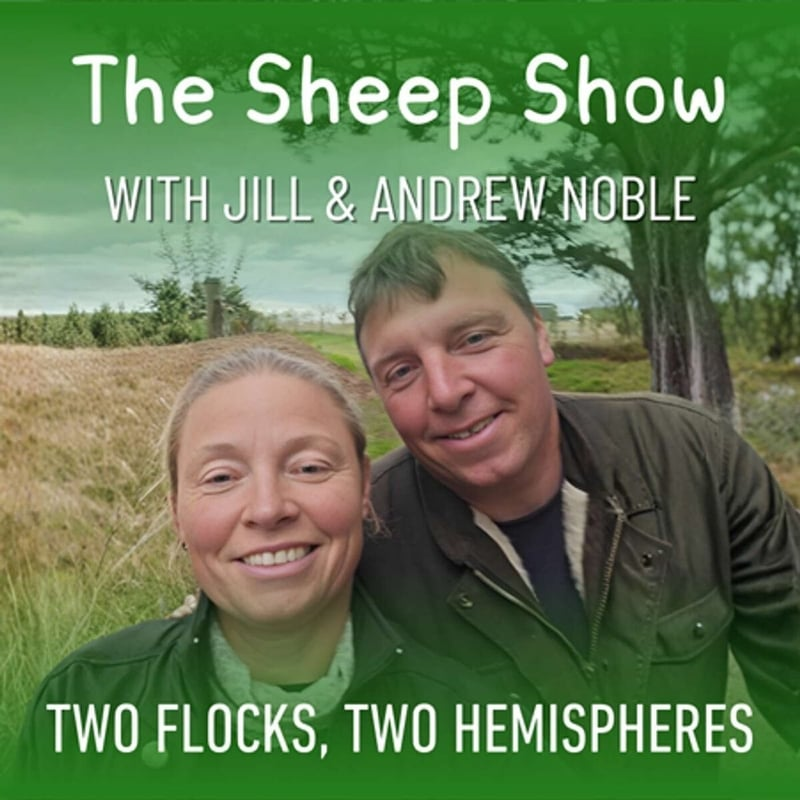 The Sheep Show Podcast
