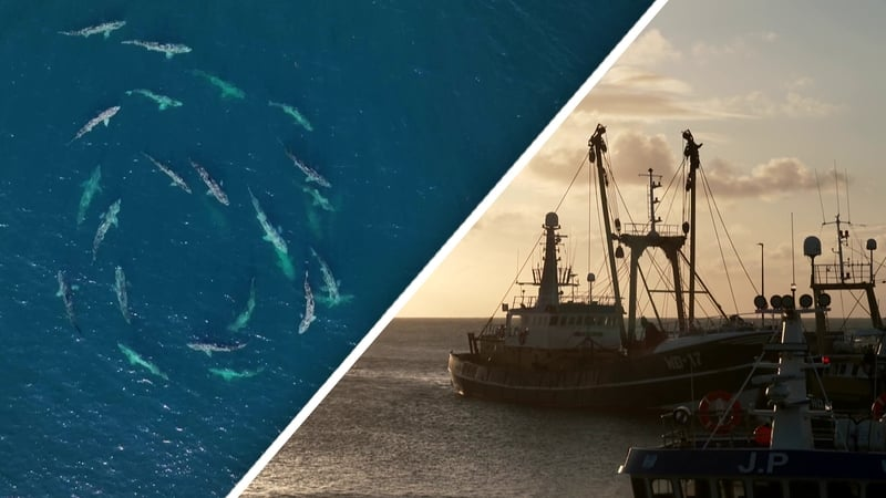 Do Marine Protected Areas work?