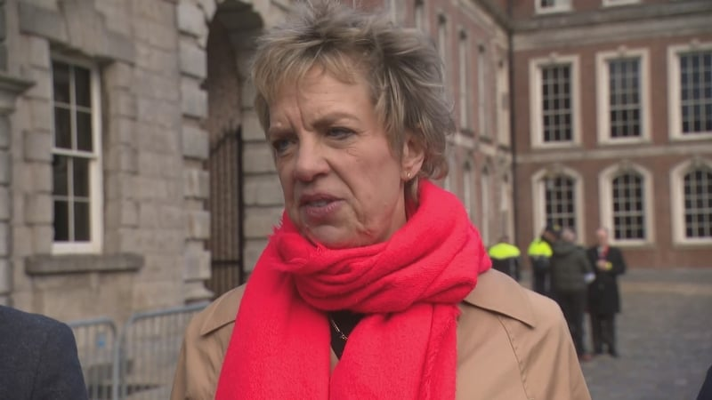 Labour leader Ivana Bacik