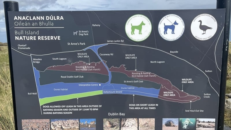 Thumbnail for Biodiversity efforts on Bull Island