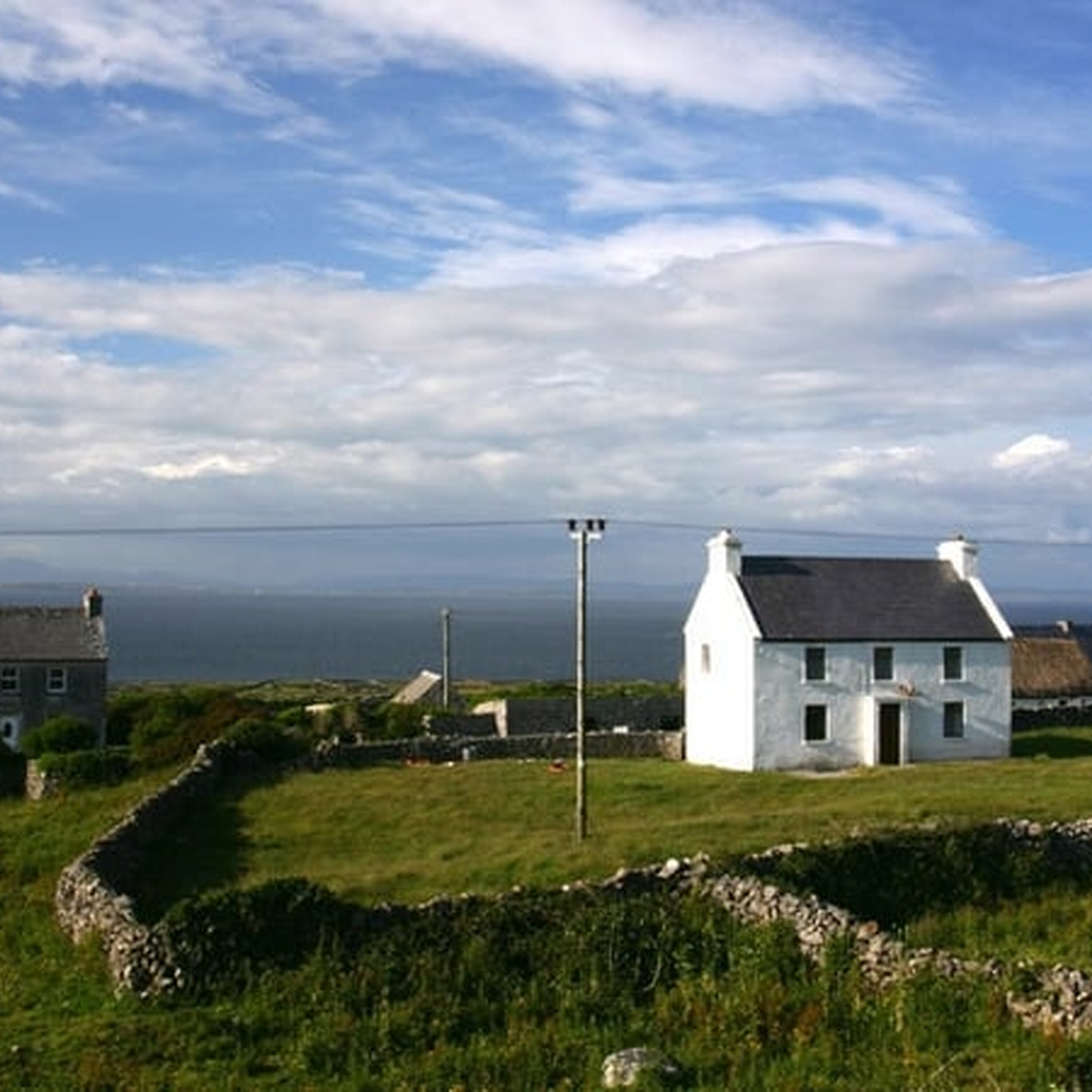 The green shoots in Ireland's rural economy