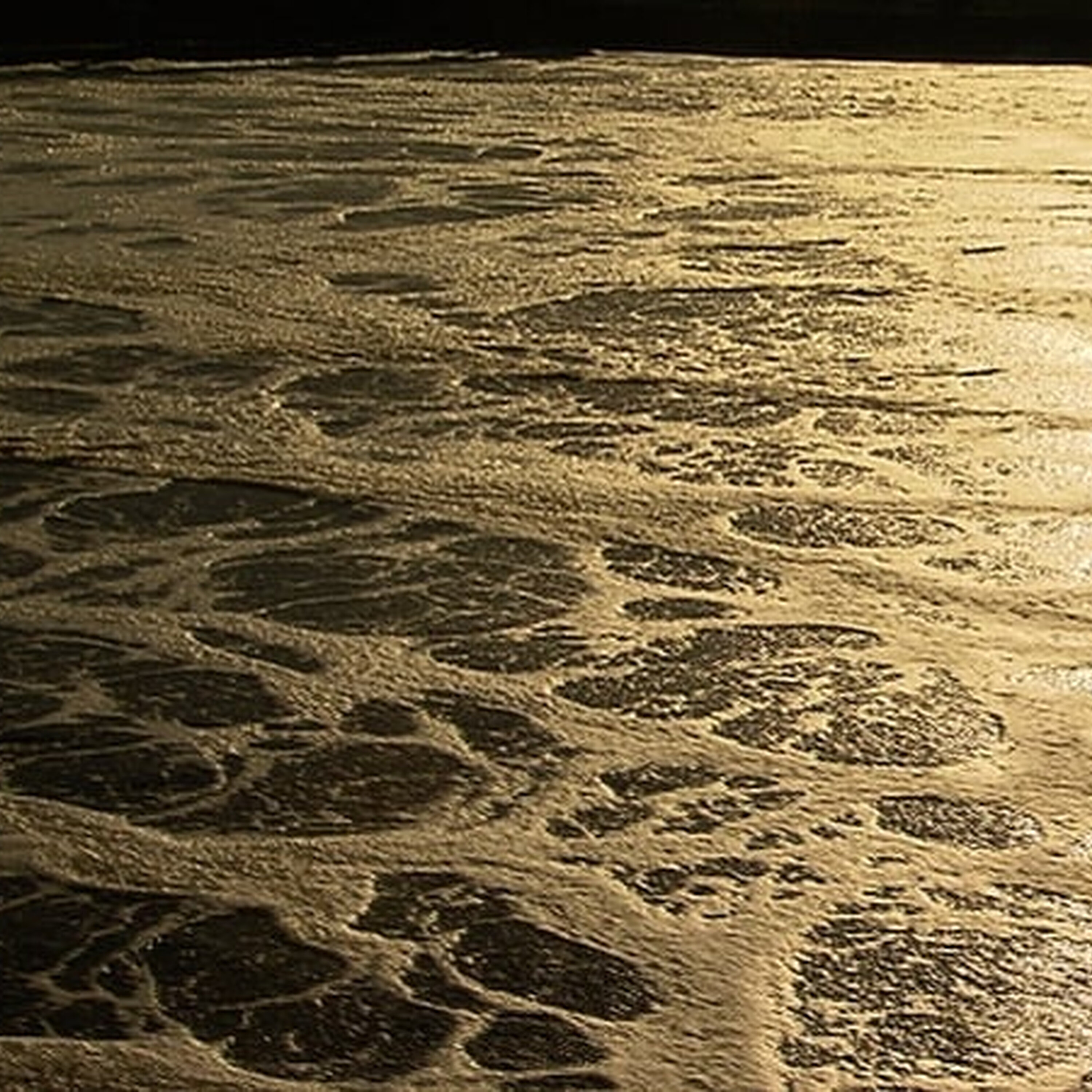 Testing the waters: why are swimmers kept in the dark about water quality for half the year?
