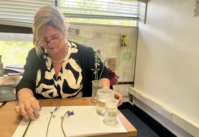Thumbnail for Invasive plant species remain on the market