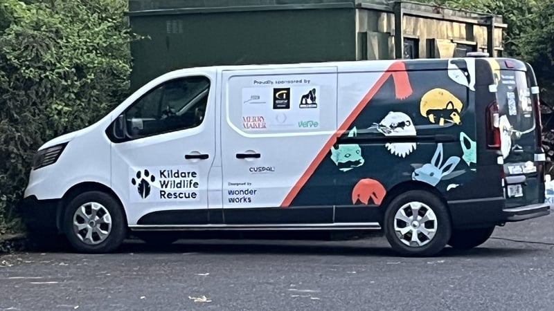 Thumbnail for Calls for nationwide wildlife rescue service