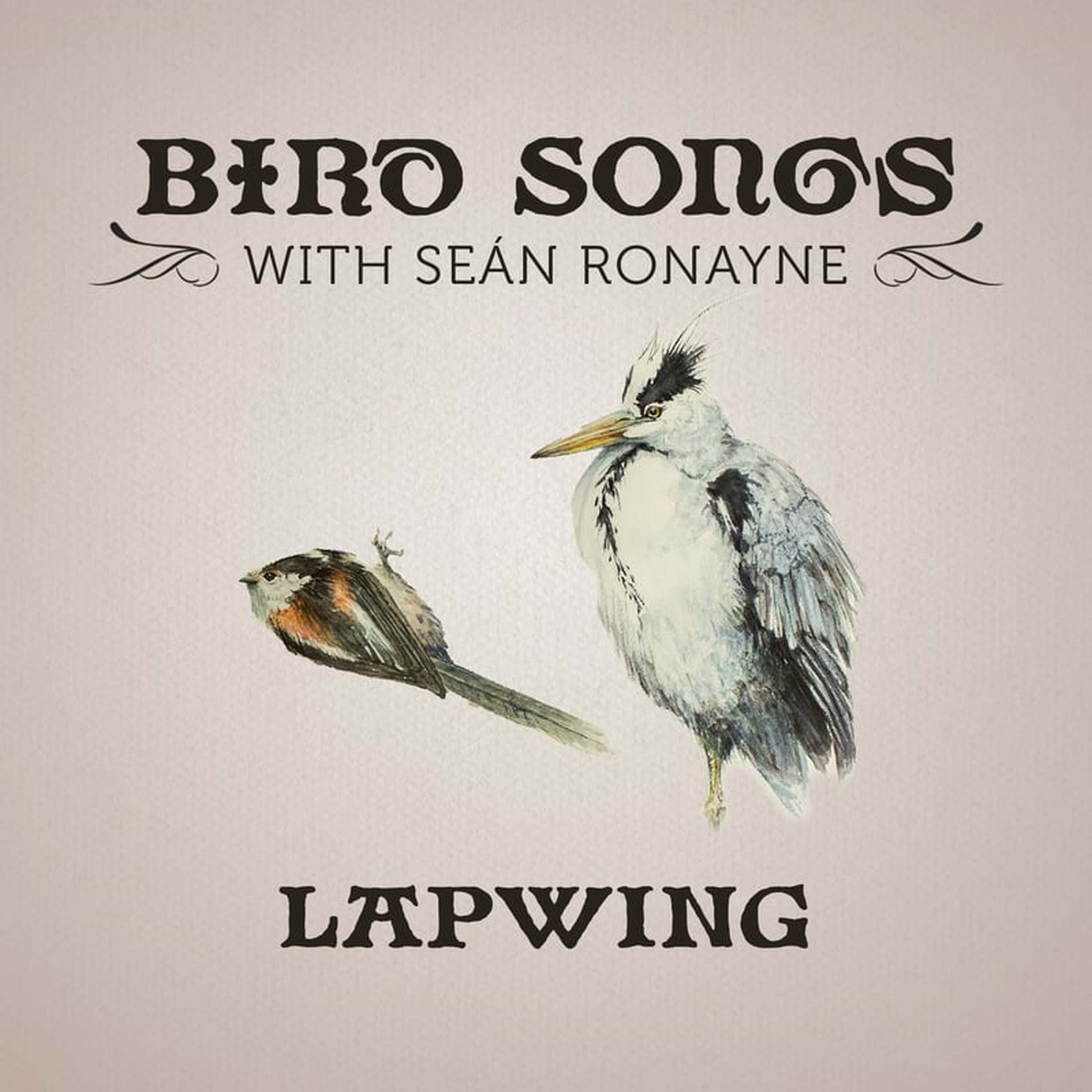 Artwork for Bird Songs with Seán Ronayne