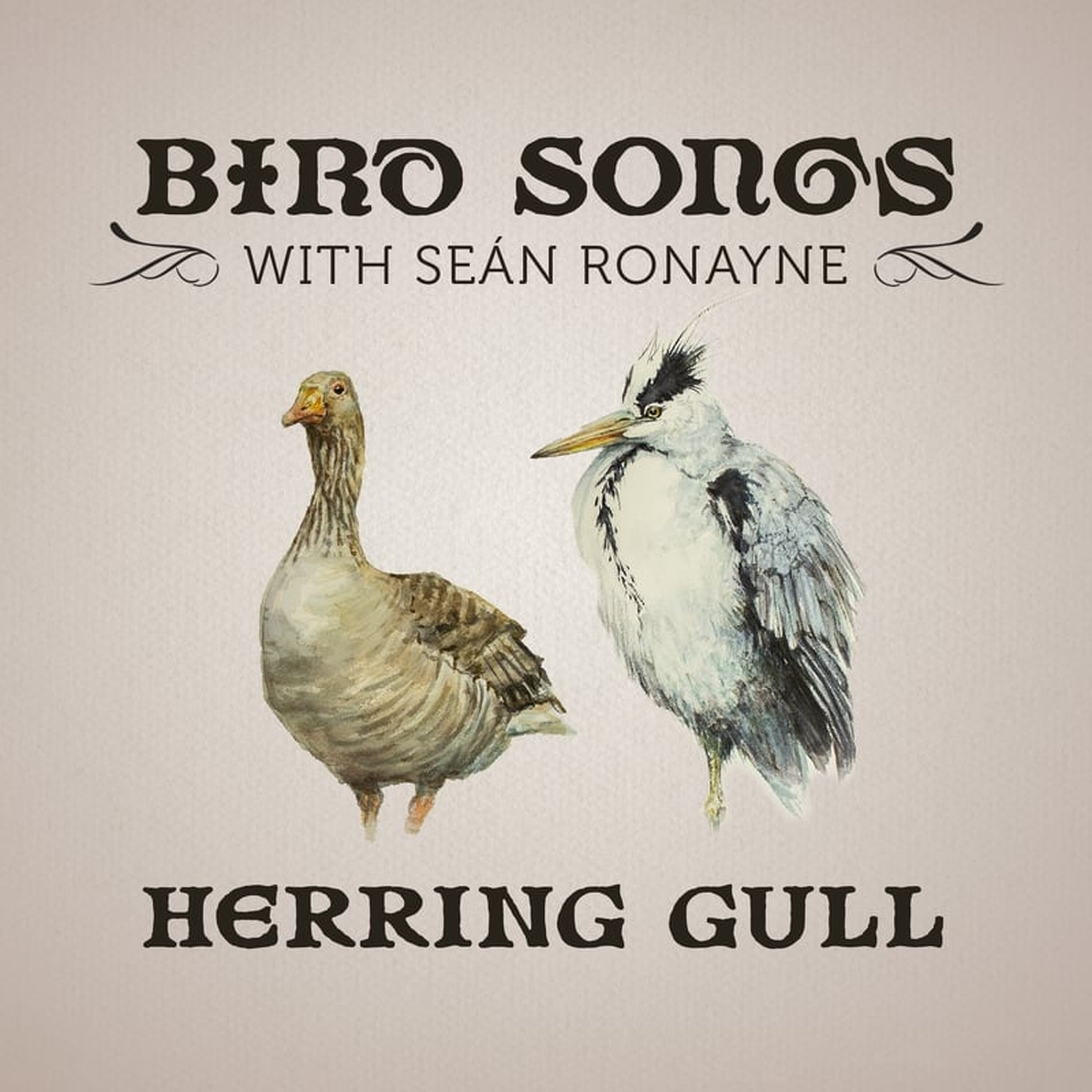 Artwork for Bird Songs with Seán Ronayne