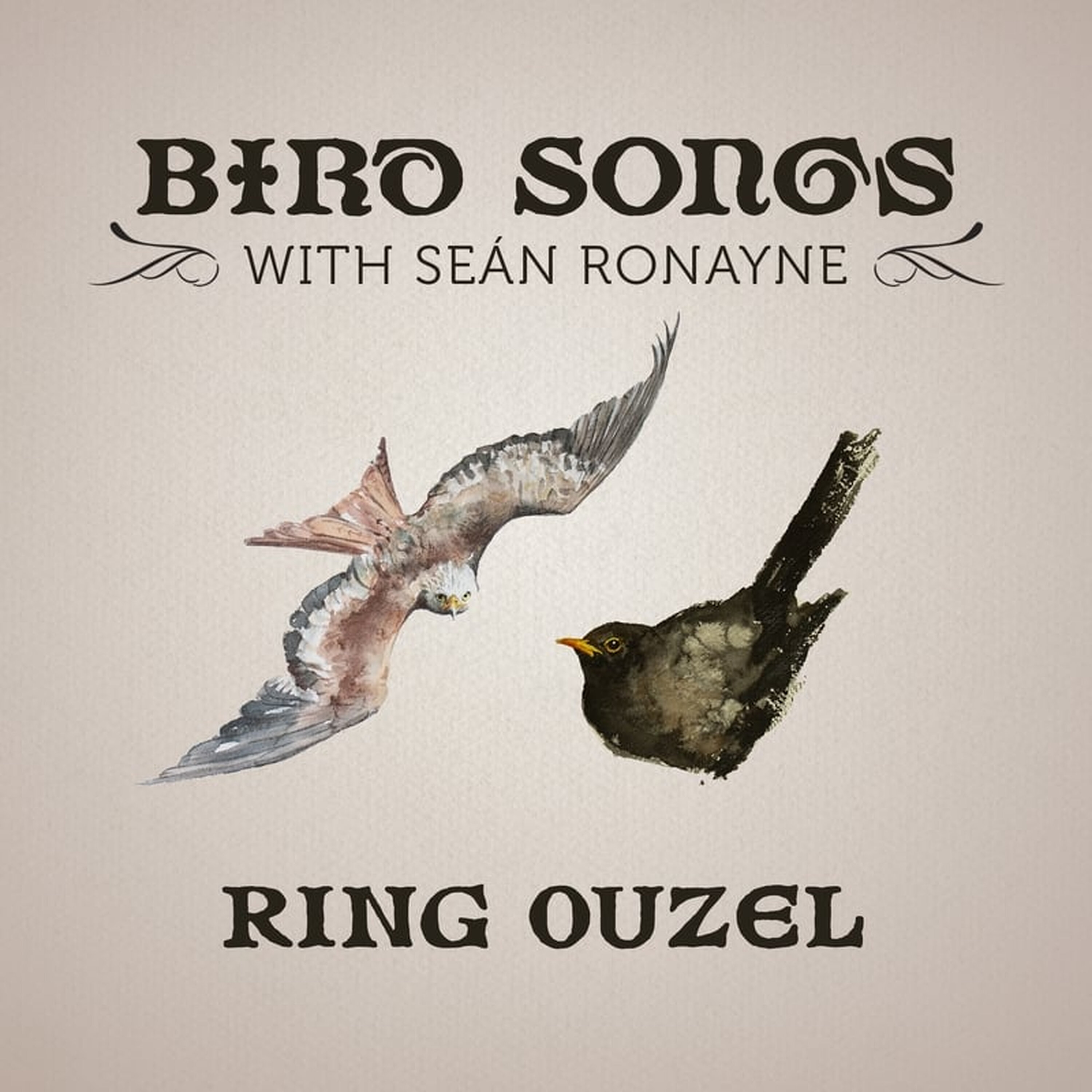 Artwork for Bird Songs with Seán Ronayne