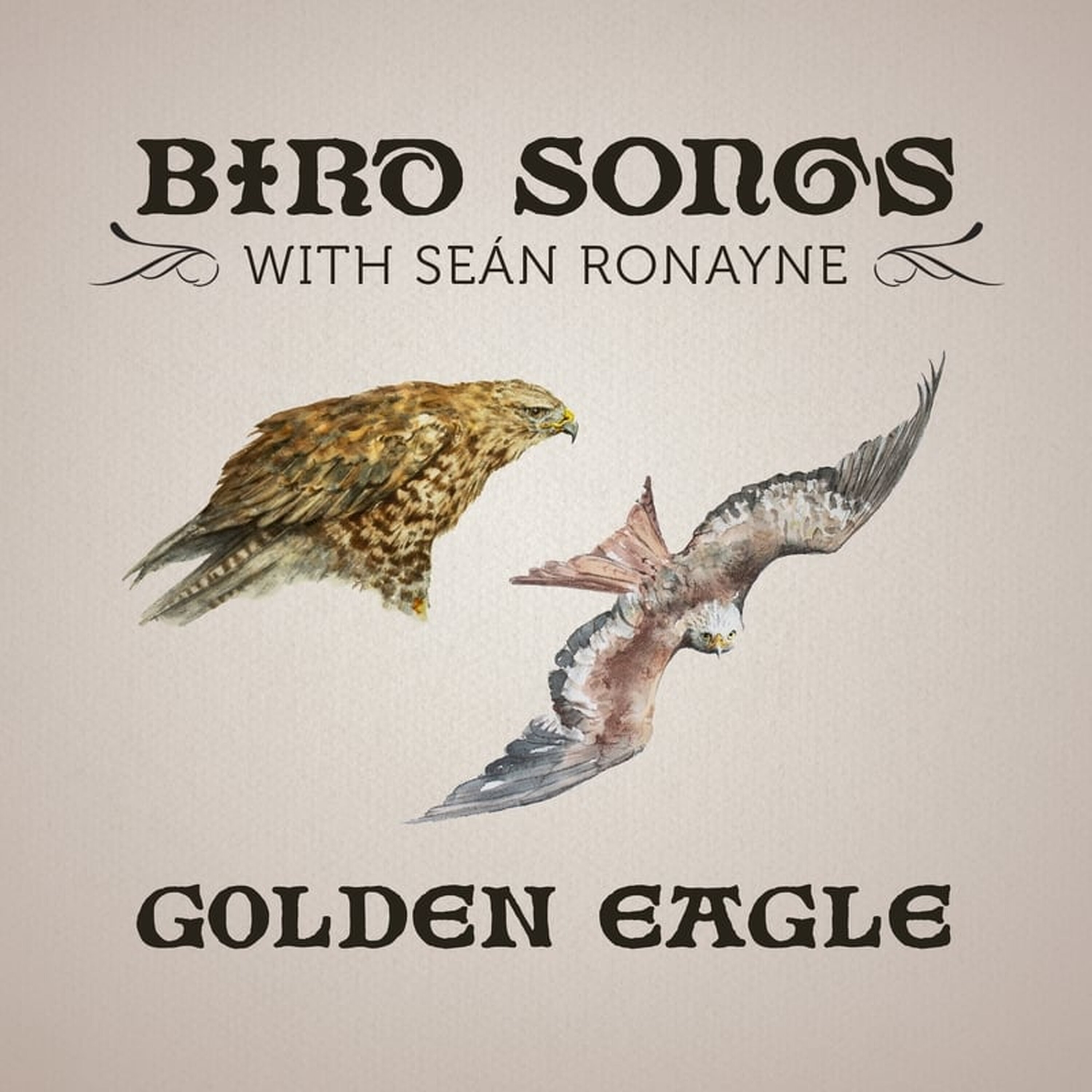 Artwork for Bird Songs with Seán Ronayne