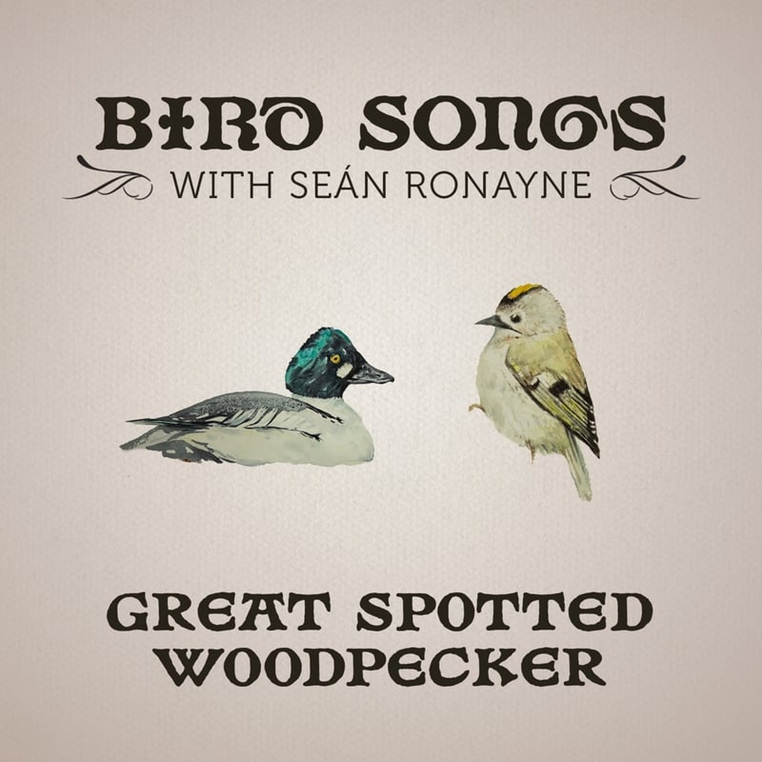 Artwork for Bird Songs with Seán Ronayne