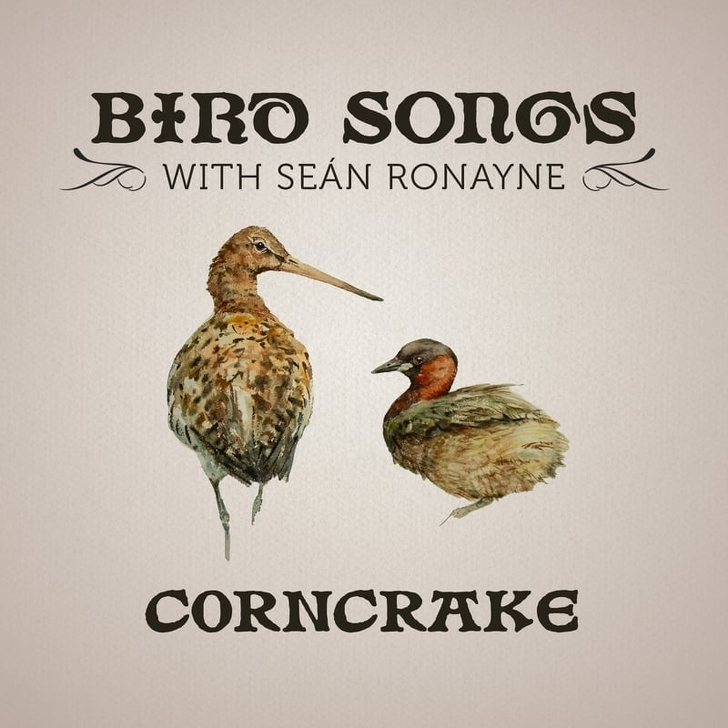 Artwork for Bird Songs with Seán Ronayne