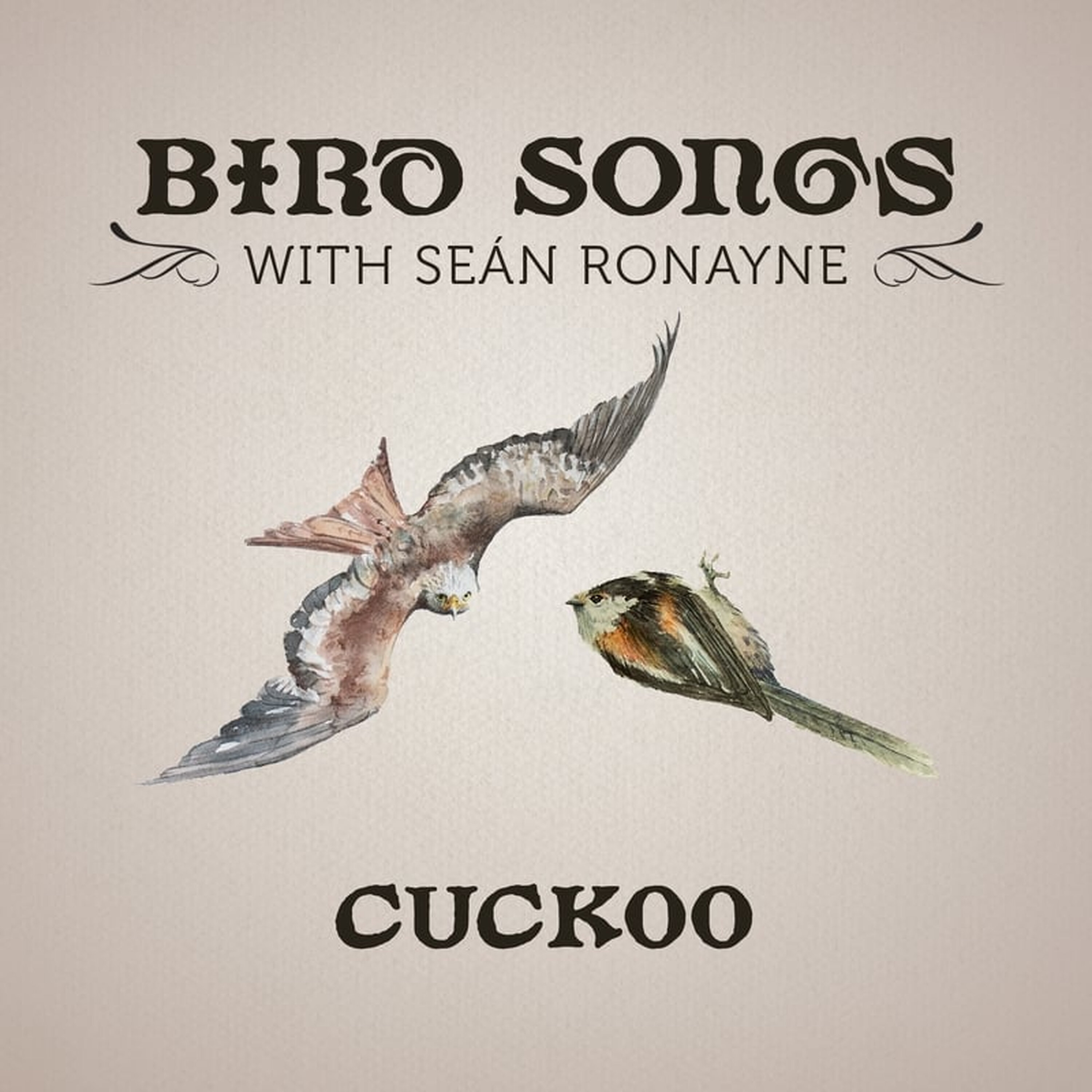 Artwork for Bird Songs with Seán Ronayne