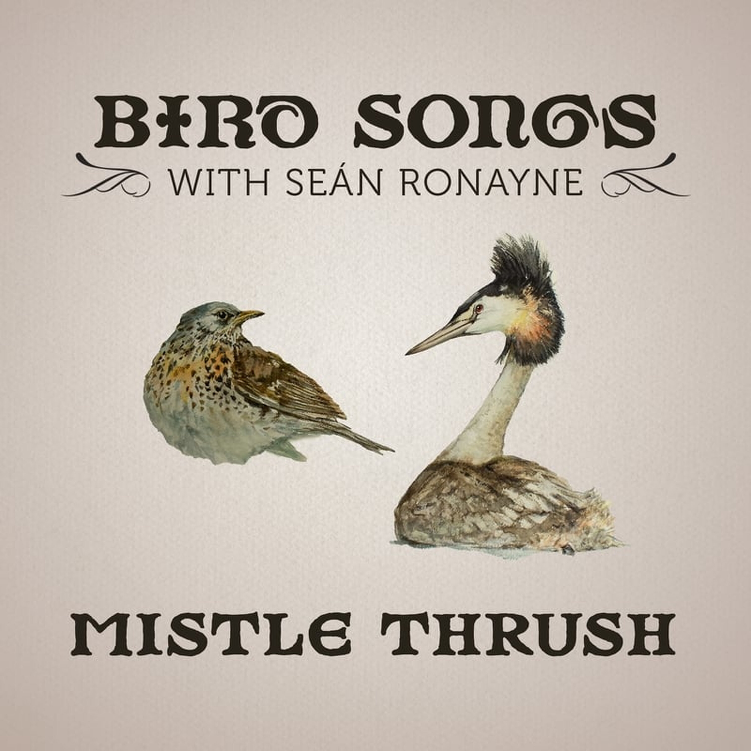 Artwork for Bird Songs with Seán Ronayne