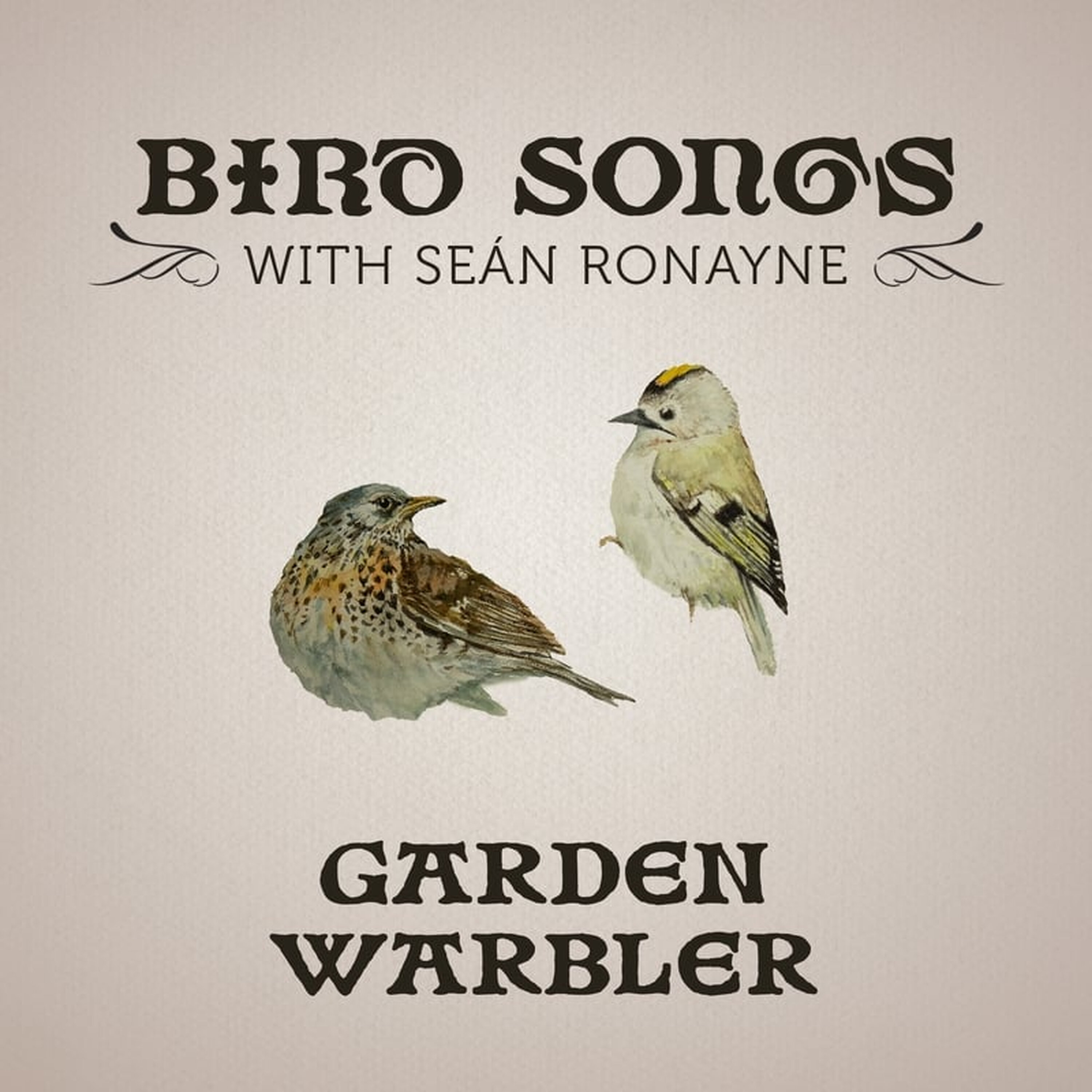 Artwork for Bird Songs with Seán Ronayne