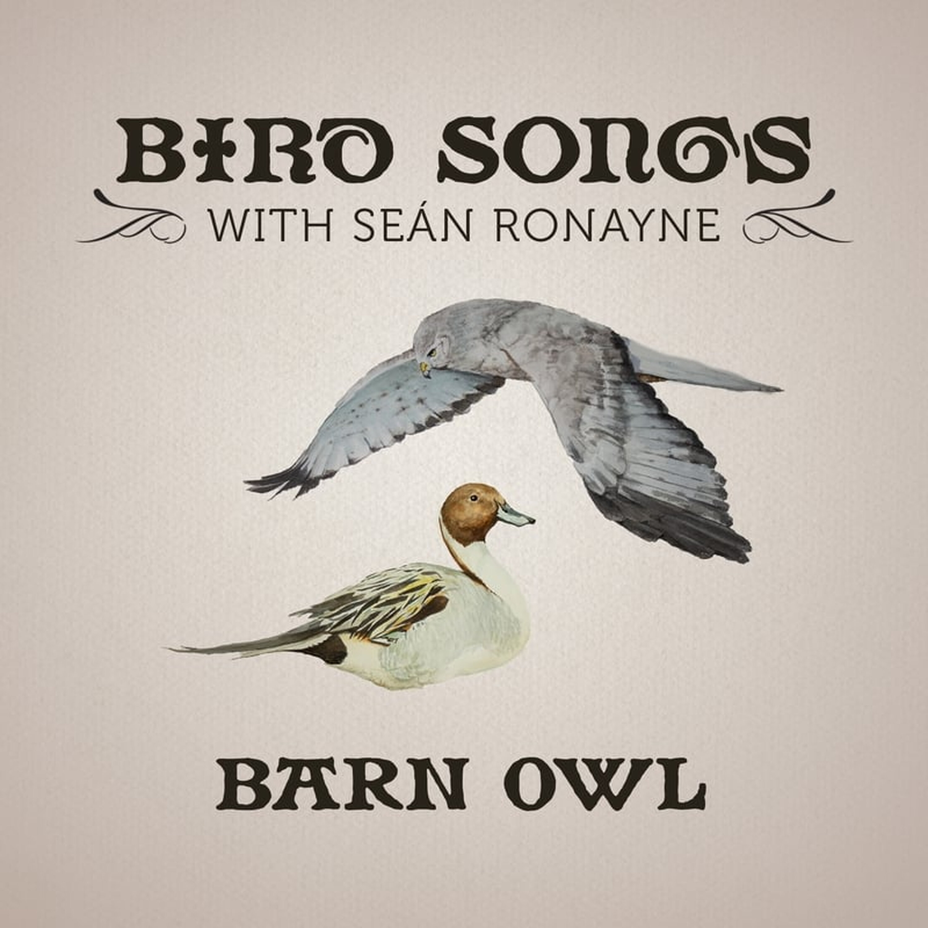 Artwork for Bird Songs with Seán Ronayne