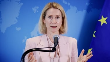 Ireland's draft EU budget a cause for 'concern' - Kallas