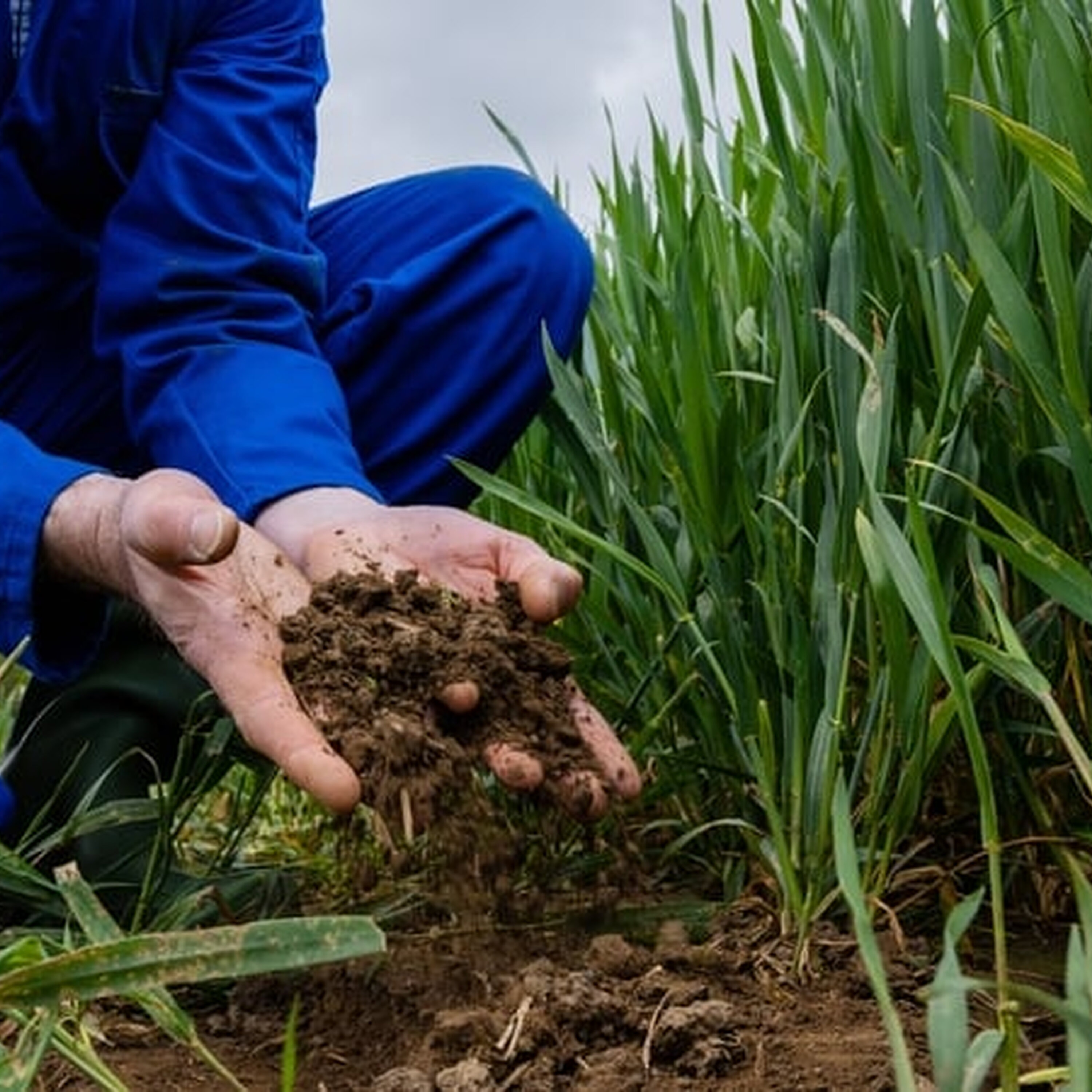 The European Commissioner for the Environment Jessika Roswall is in County Kildare today The European Commissioner for the Environment Jessika Roswall is in County Kildare today