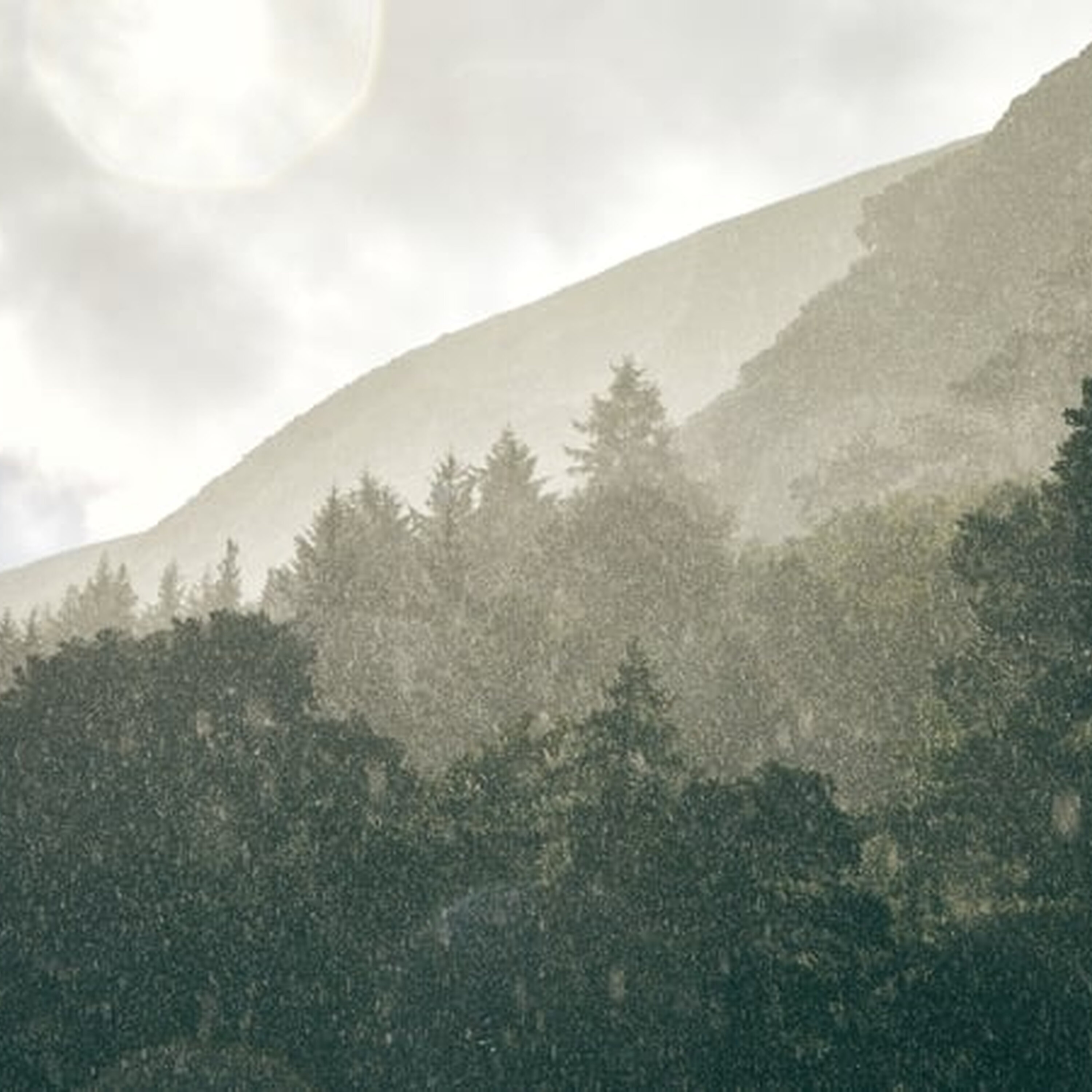 Weather Forecast Weather Forecast